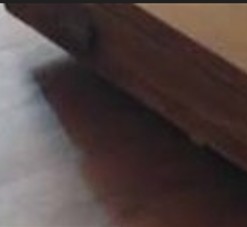 Plaster Works thumbnail